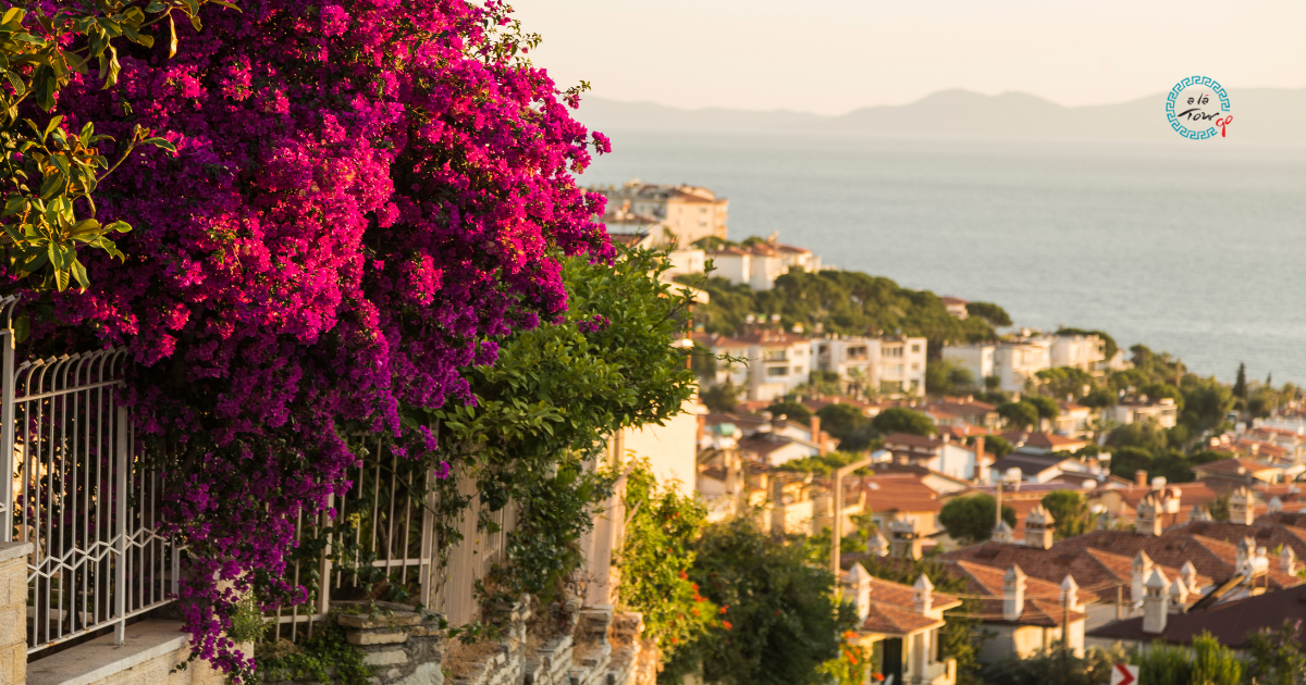 Bodrum in 2 Tagen 2026: Der ehrliche lokale Reiseführer
