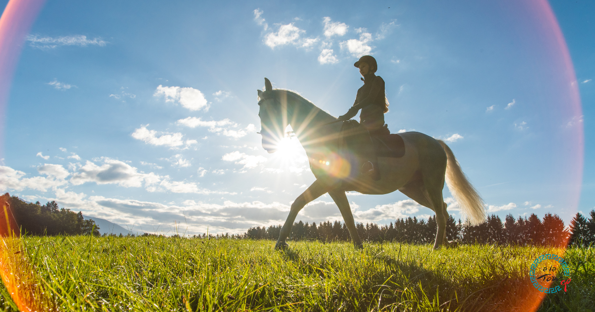 Horse Riding in Turkey: From Cappadocia to the Black Sea Coast