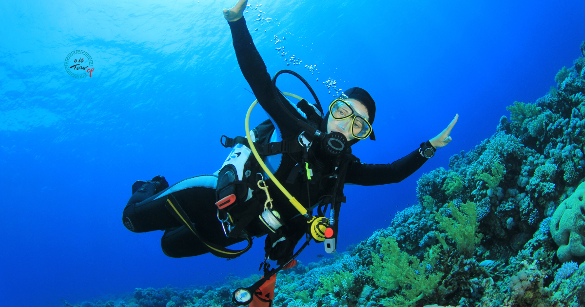 Scuba Diving in Turkey 2026: Best Dive Sites on the Aegean and Mediterranean