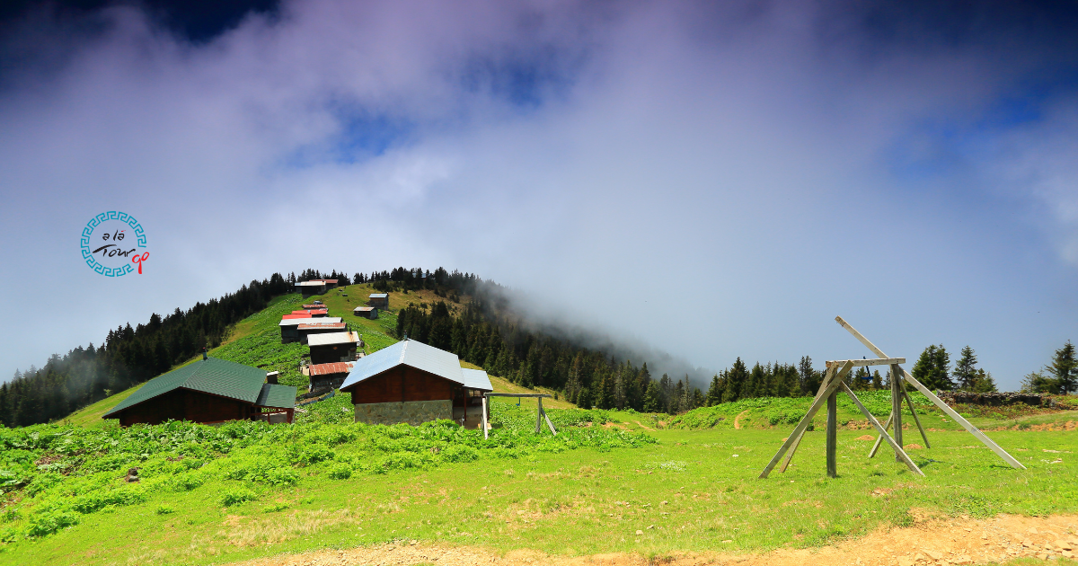Black Sea & Highland Tours 2026: Ayder, Uzungöl and Sümela Monastery Guide